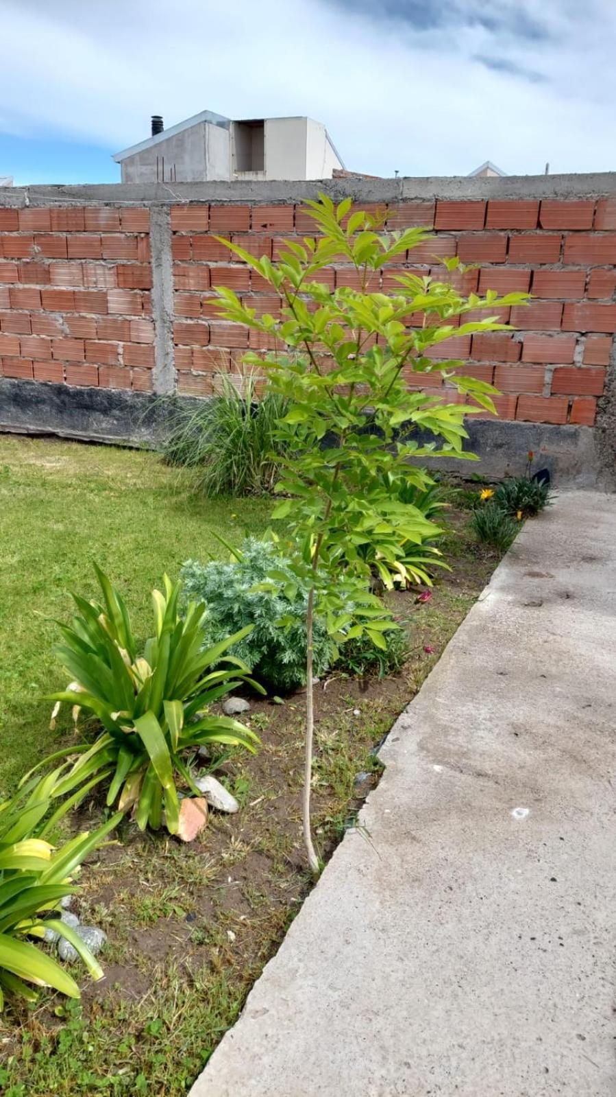 Apartamento La Casa de Thor Trelew Exterior foto