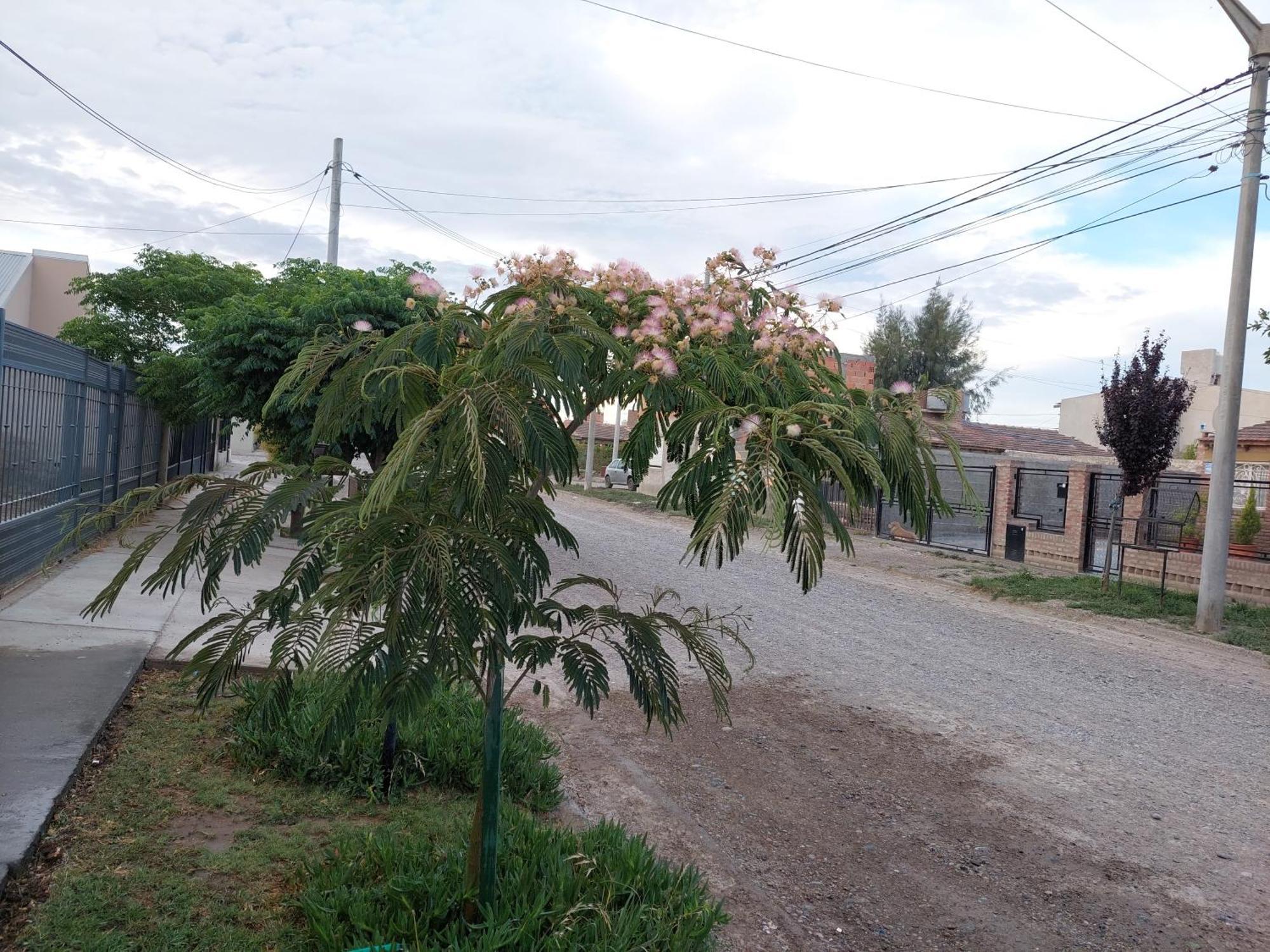 Apartamento La Casa de Thor Trelew Exterior foto