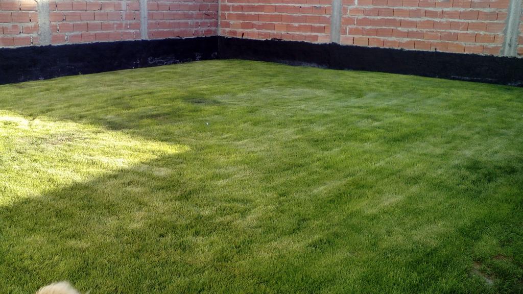 Apartamento La Casa de Thor Trelew Exterior foto
